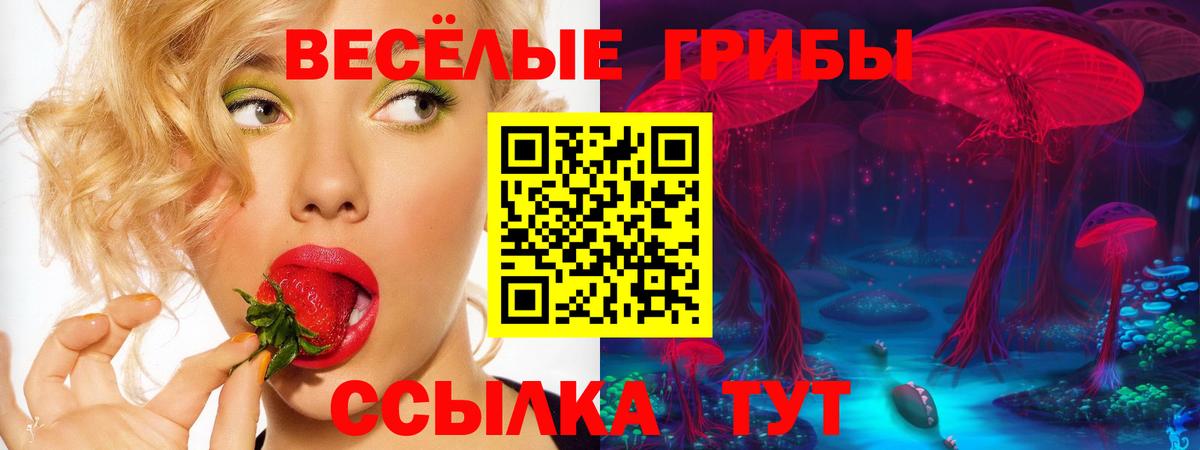 Сызрань  Галлюциногенные грибы MAGIC MUSHROOMS  Вход с VPN 